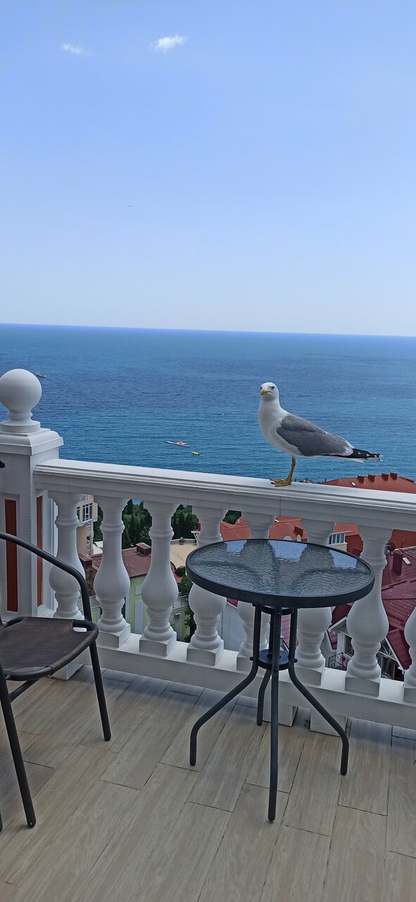 Гостевой дом Вилла Валентина Алушта-240