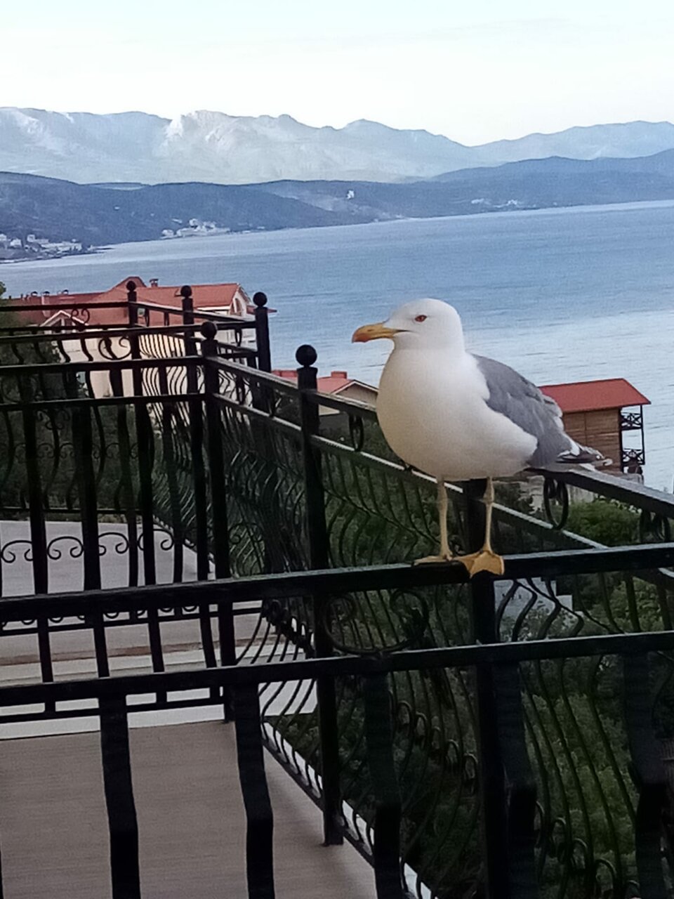 Гостевой дом Вилла Валентина Алушта-182