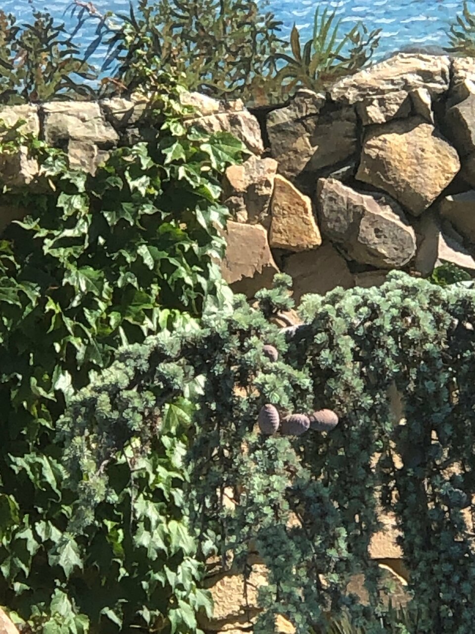 Гостевой дом Вилла Валентина Алушта-173