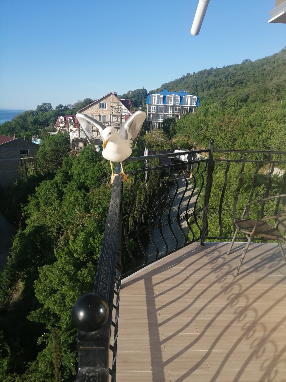 Гостевой дом Вилла Валентина Алушта-108