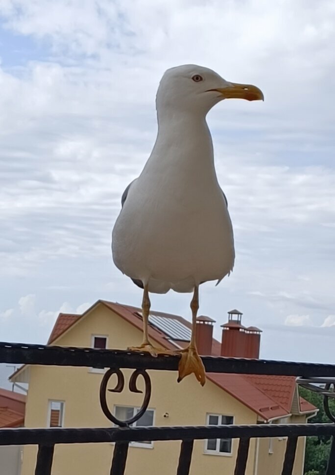 Гостевой дом Вилла Валентина Алушта-98