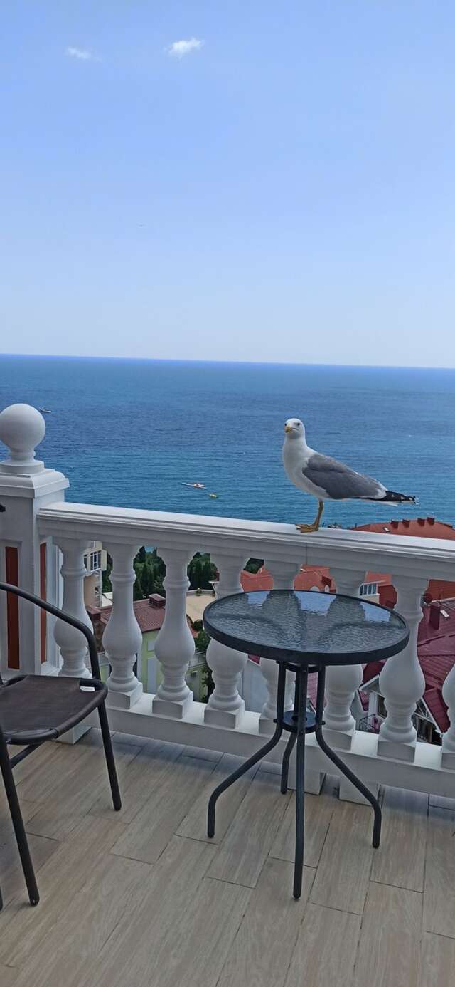 Гостевой дом Вилла Валентина Алушта-239