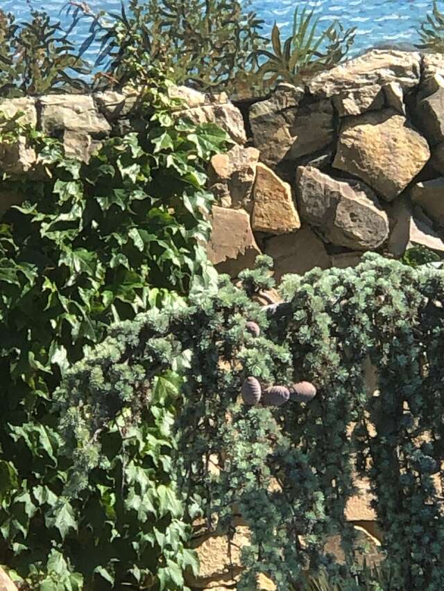 Гостевой дом Вилла Валентина Алушта-172