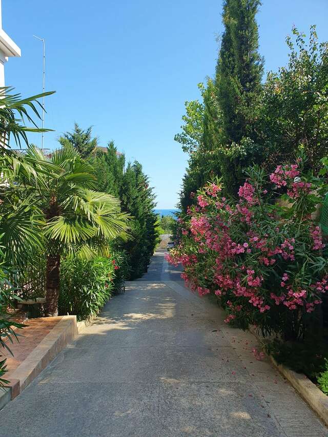 Гостевой дом Вилла Валентина Алушта-149