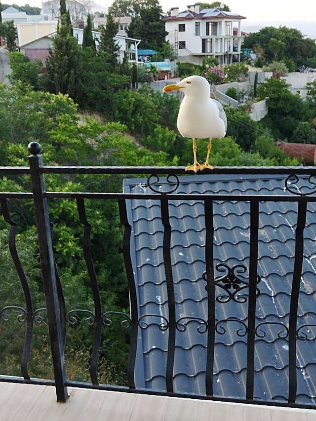 Гостевой дом Вилла Валентина Алушта-151