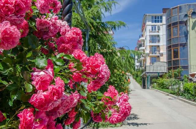 Гостевой дом Вилла Валентина Алушта-222