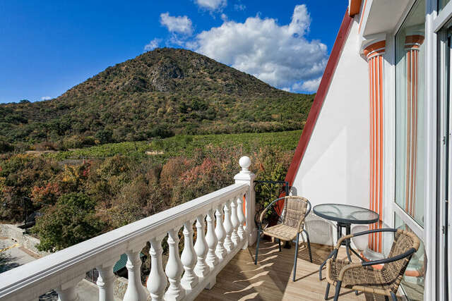 Гостевой дом Вилла Валентина Алушта-237