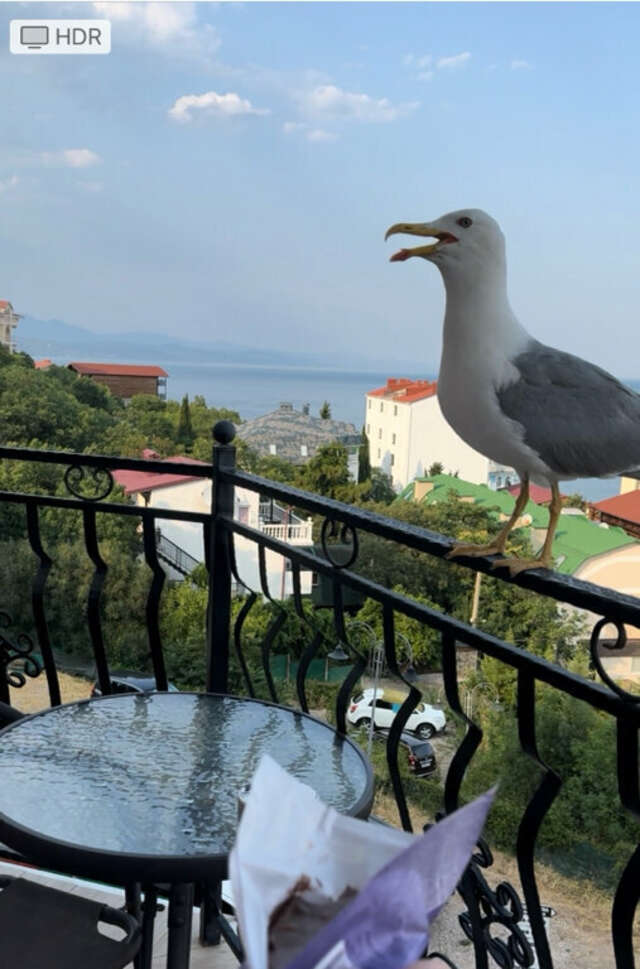 Гостевой дом Вилла Валентина Алушта-247